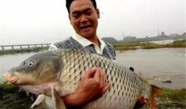 新瓜最新爆料钓鱼视频,钓鱼视频背后的惊人真相